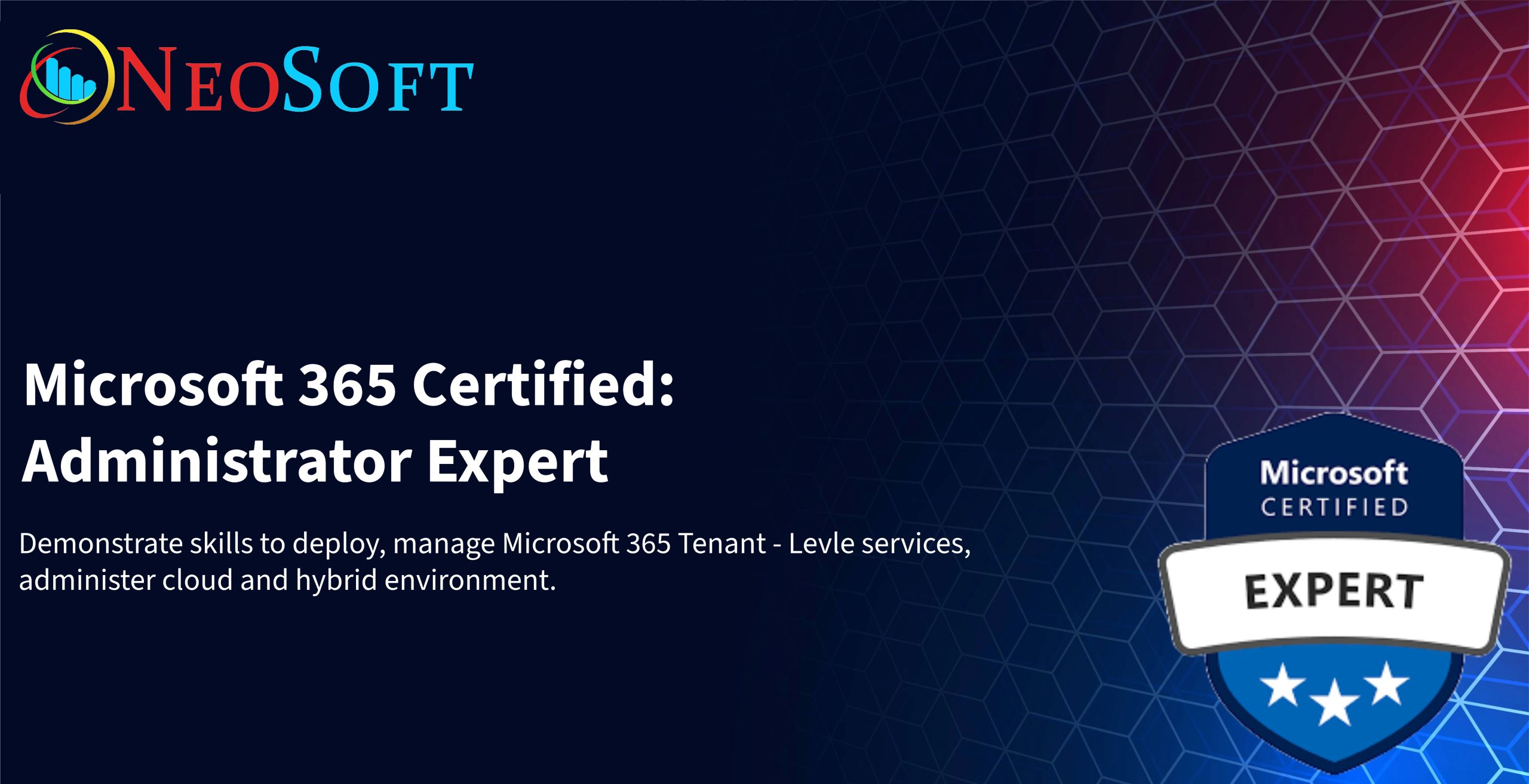 MS 102 copy MS 102 copy