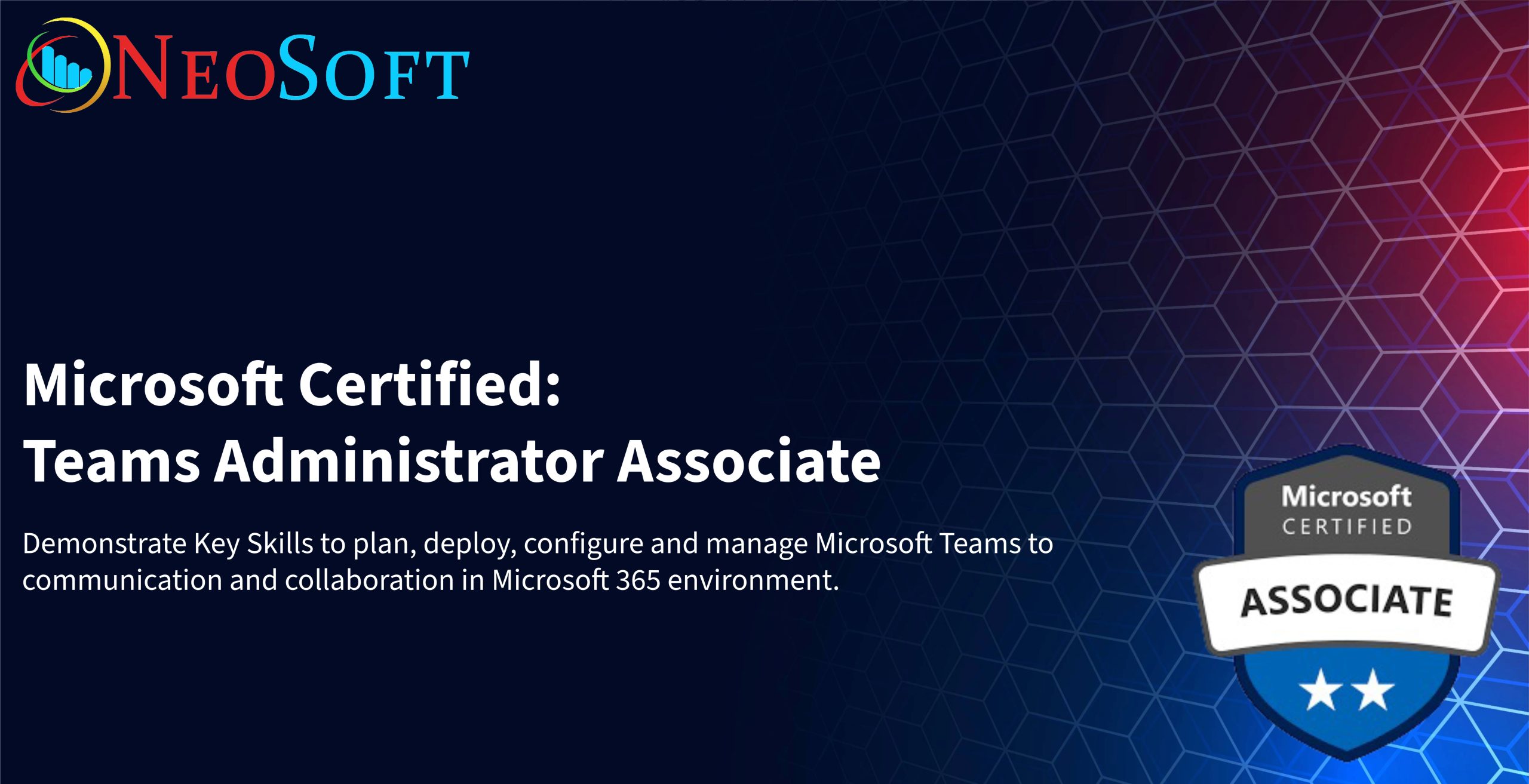 MS 700 copy MS 700 copy